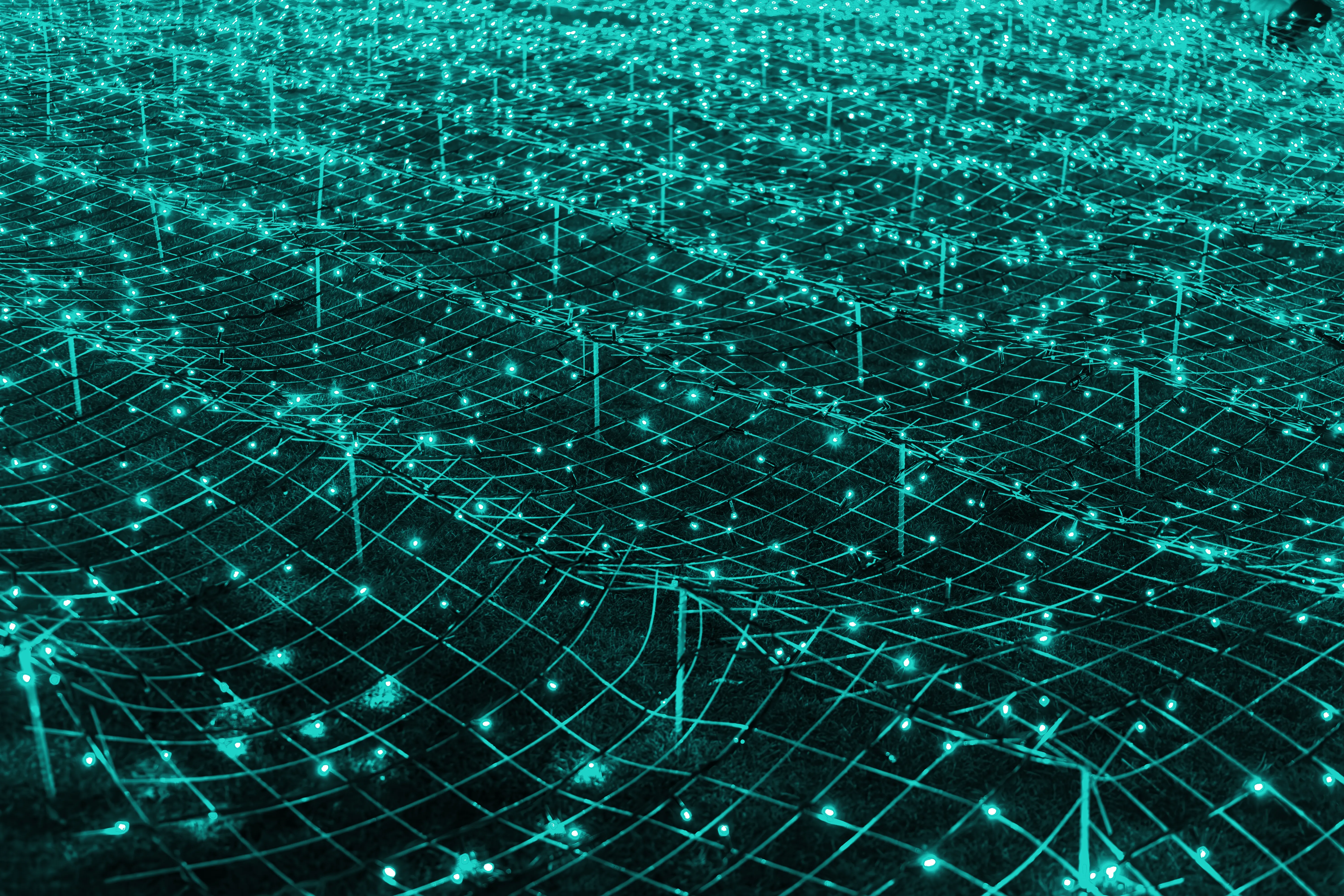 A field of turquoise LED lights