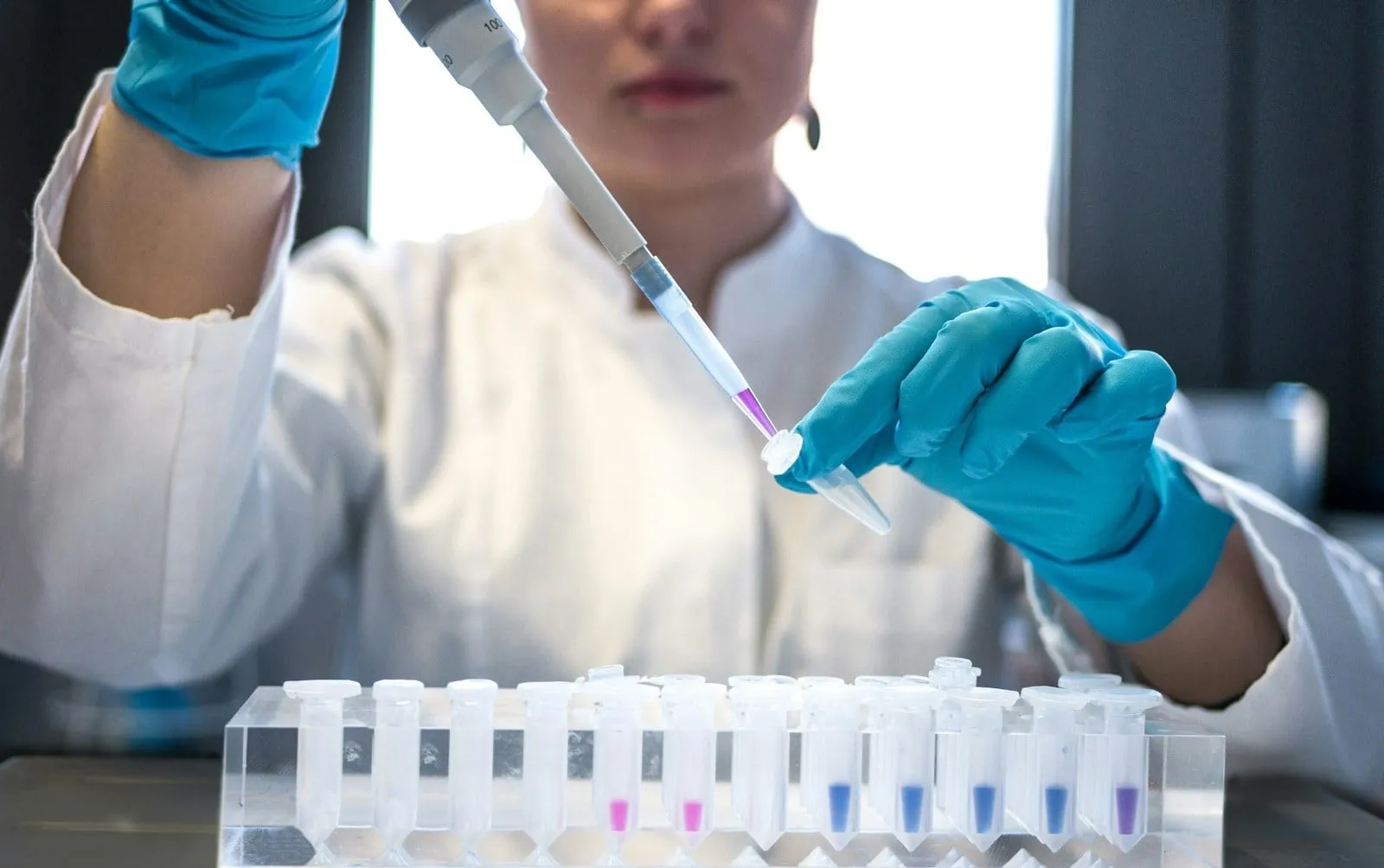 A lab technician in blue gloves pipetting liquid into a row of sample tubes